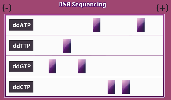 Assessment Question 4 Figure