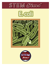 E. coli Brochure