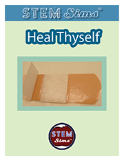 Heal Thyself Brochure