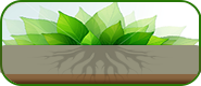 Plant Paint